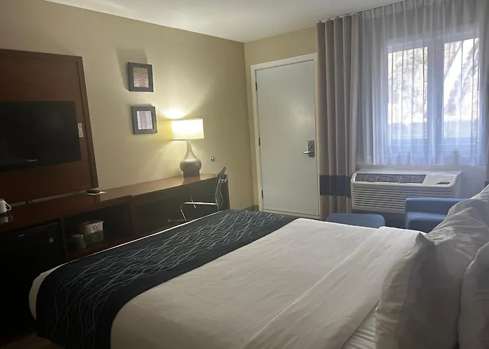 Comfort Inn